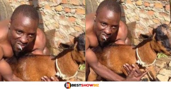 Man Caught On Camera Chopping A Stray Goat In Cape Town