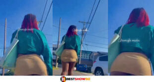 Pᾶntless Lady In Mini Skirt Causes Confusion On The Street (Video)